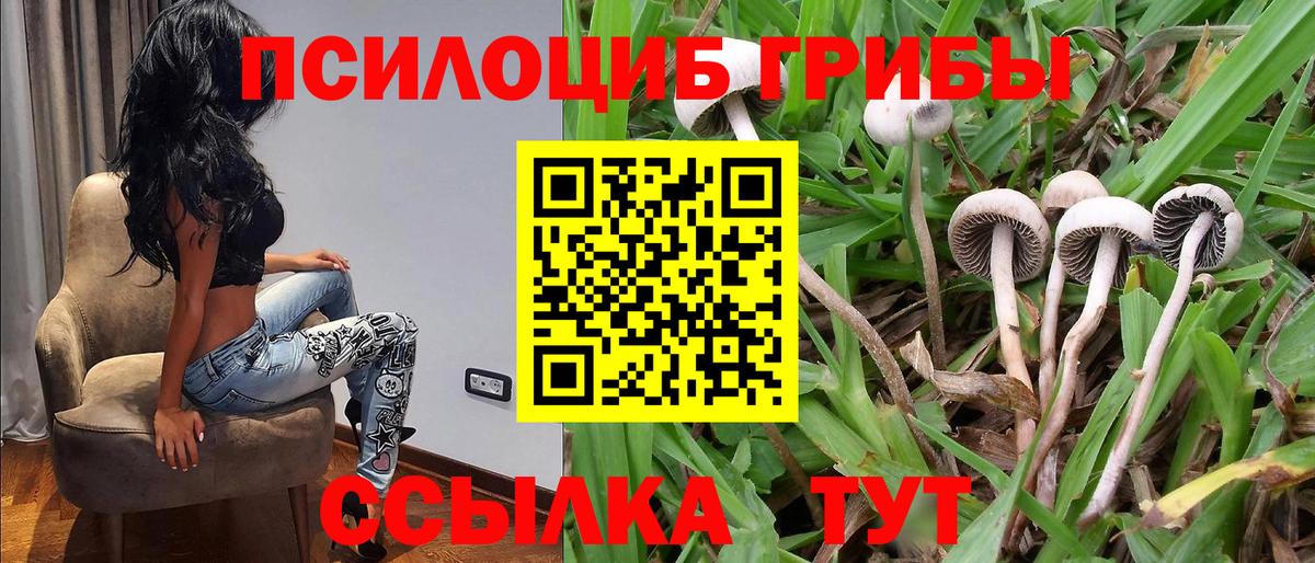 наркота  Псилоцибиновые грибы прущие грибы  Вход с VPN  Мегион  Псилоцибиновые грибы Psilocybe 